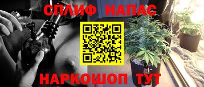 стафф Бузулук